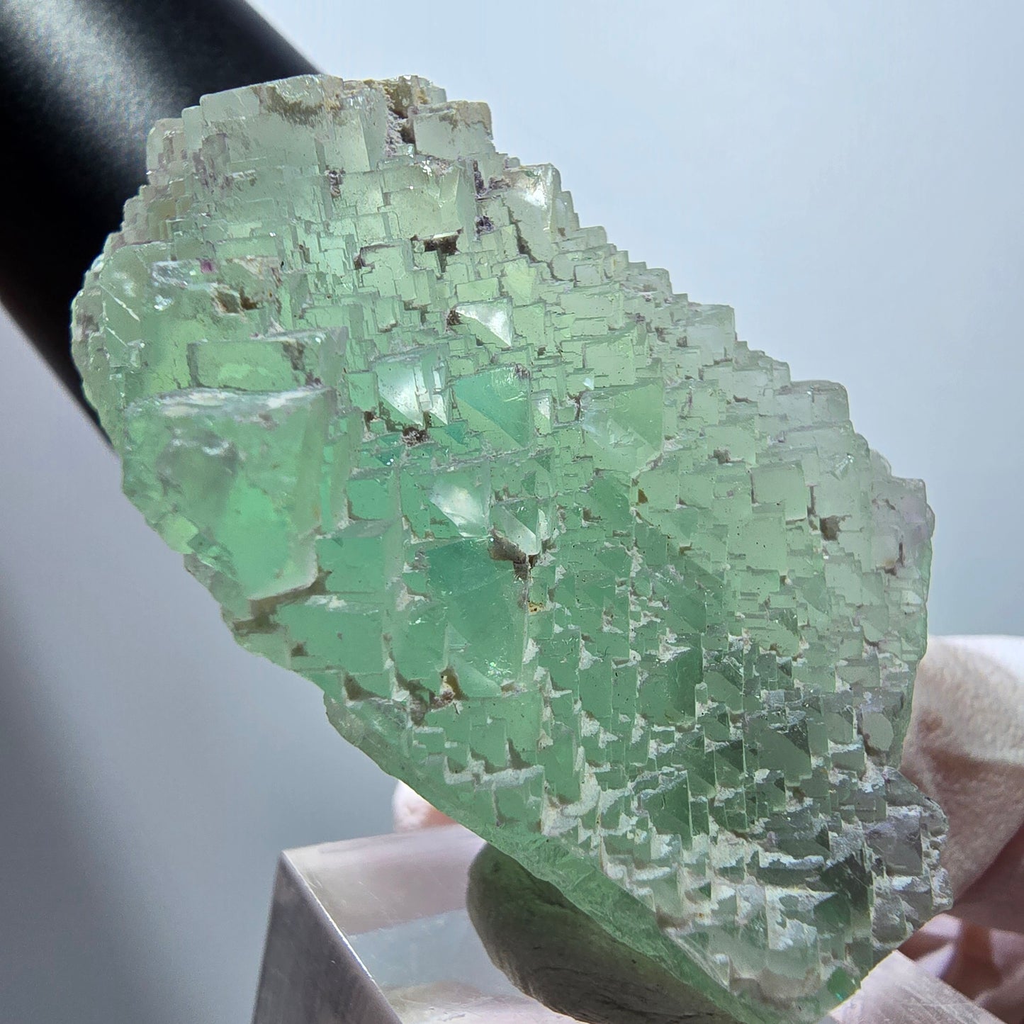Seltene Phantom Fluorit Würfel, gestuft, grün Omehane, Namibia 53*27*26mm #13350