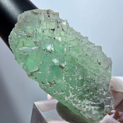Seltene Phantom Fluorit Würfel, gestuft, grün Omehane, Namibia 53*27*26mm #13350