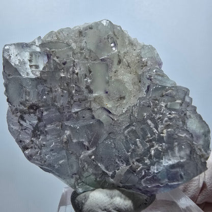 Seltene Phantom Fluorit Würfel, gestuft, grün lila Omehane, Namibia 52*40*13mm #13351