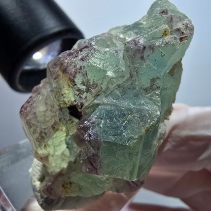 Seltene Phantom Fluorit Würfel, gestuft, grün lila Omehane, Namibia 48*22*29mm #13352