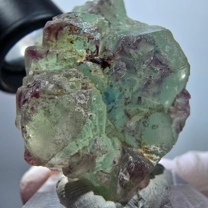 Seltene Phantom Fluorit Würfel, gestuft, grün lila Omehane, Namibia 48*22*29mm #13352