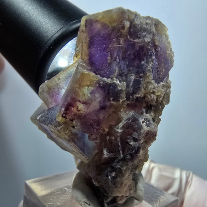 Seltene Phantom Fluorit Würfel auf Quarz Stufe, grün lila Omehane, Namibia 41*33*29mm #13353