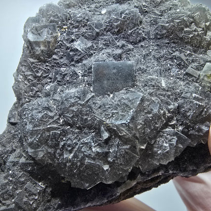 Große Phantom Fluorit Würfel Stufe, lila gestuft Erongo, Namibia 97*72*53mm #13366