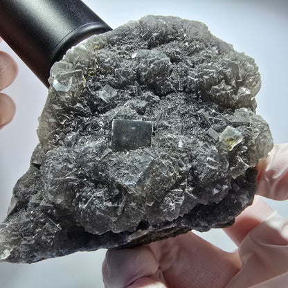 Große Phantom Fluorit Würfel Stufe, lila gestuft Erongo, Namibia 97*72*53mm #13366