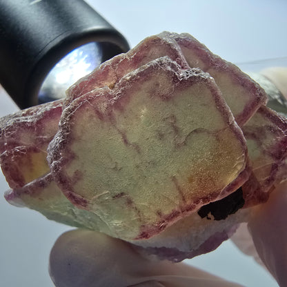 Seltene Phantom Fluorit Würfel Stufe, grün lila zonal Omehane Namibia 58*48*38mm #13384