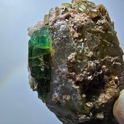 Seltene Turmalin, Verdelith, Elbait auf Quarz Stufe Karibib, Erongo, Namibia 75*41*33mm #13388