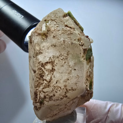 Seltene Turmalin, Verdelith, Elbait auf Quarz Stufe Karibib, Erongo, Namibia 66*37*29mm #13392