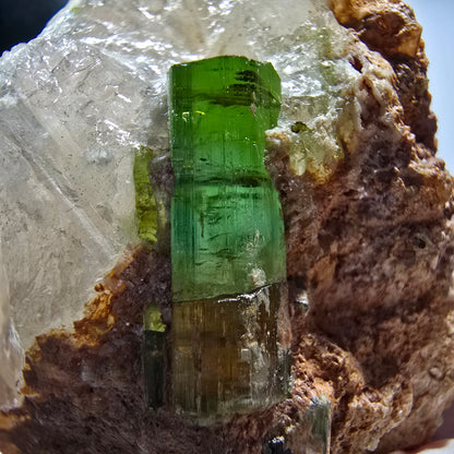 Seltene Turmalin, Verdelith auf Quarz Stufe Karibib, Erongo, Namibia 72*51*38mm #13393