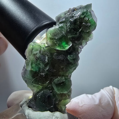 Seltene Phantom Fluorit, hexagonal, Rauchquarz, Muskovit Erongo, Namibia 59*27*13mm #13408