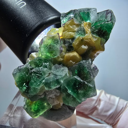 Seltene Phantom Fluorit Würfel, Muskovit Stufe Erongo, Namibia 49*31*24mm #13420