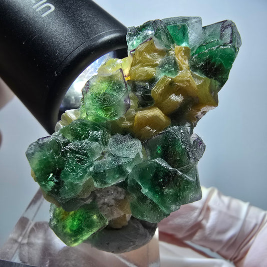Seltene Phantom Fluorit Würfel, Muskovit Stufe Erongo, Namibia 49*31*24mm #13420