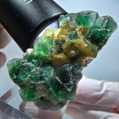 Seltene Phantom Fluorit Würfel, Muskovit Stufe Erongo, Namibia 49*31*24mm #13420