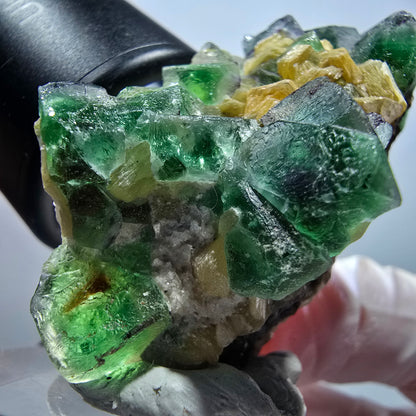 Seltene Phantom Fluorit Würfel, Muskovit Stufe Erongo, Namibia 49*31*24mm #13420