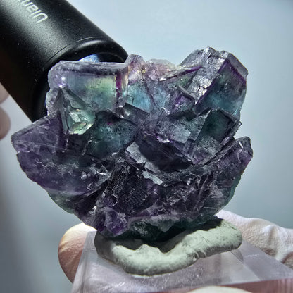 Seltene Phantom Fluorit Würfel Stufe, grün lila Okorusu, Namibia 42*35*18mm #13426