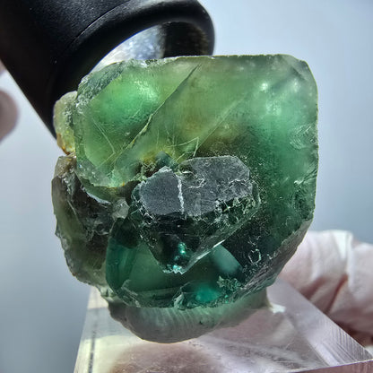 Seltene Phantom Fluorit Würfel Stufe, grün Okorusu, Namibia 39*33*26mm #13428