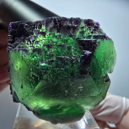 Seltene Phantom Fluorit Würfel Stufe, zonal grün lila Okorusu, Namibia 36*36*34mm #13430