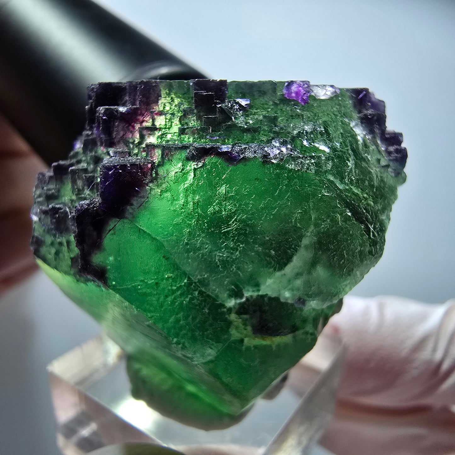 Seltene Phantom Fluorit Würfel Stufe, zonal grün lila Okorusu, Namibia 36*36*34mm #13430