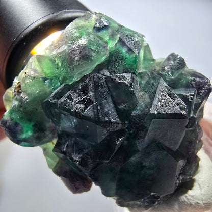 Seltene Phantom Fluorit Würfel Stufe, grün lila Okorusu, Namibia 40*34*19mm #13431
