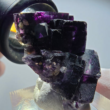 Seltene Phantom Fluorit Würfel Stufe, grün lila Okorusu, Namibia 34*25*17mm #13433