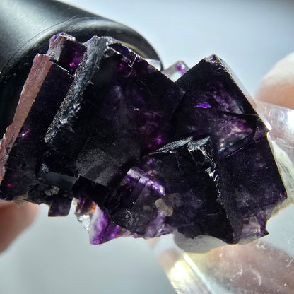Seltene Phantom Fluorit Würfel Stufe, grün lila Okorusu, Namibia 34*25*17mm #13433