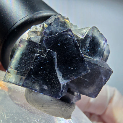 Seltene Phantom Fluorit Würfel Stufe, grün lila Okorusu, Namibia 30*22*19mm #13438