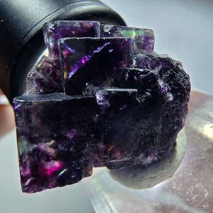 Seltene Phantom Fluorit Würfel Stufe, grün lila Okorusu, Namibia 23*21*16mm #13439
