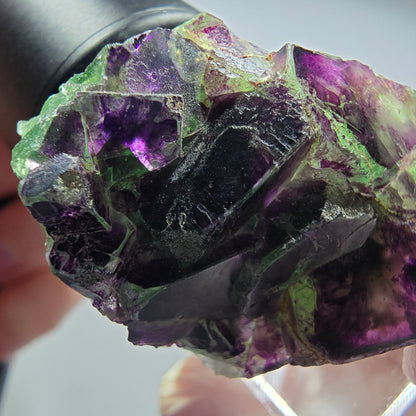Rare fluorine fantôme en cubes, vert et violet, Okorusu, Namibie 39*28*20mm #13444