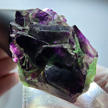 Rare fluorine fantôme en cubes, vert et violet, Okorusu, Namibie 39*28*20mm #13444