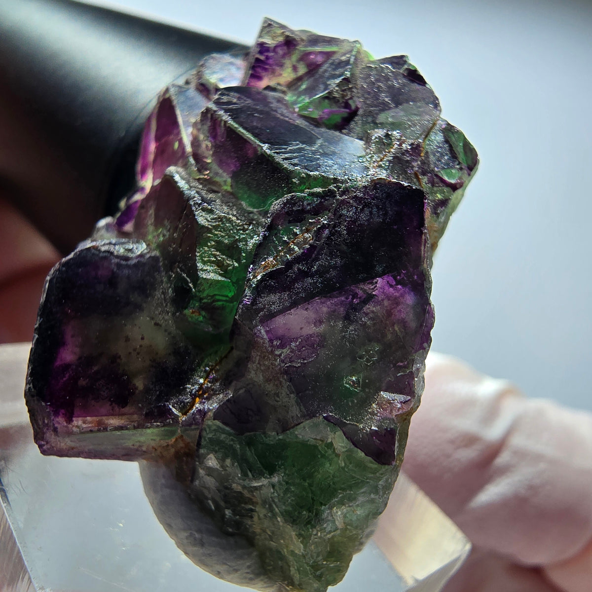 Rare fluorine fantôme en cubes, vert et violet, Okorusu, Namibie 39*28*20mm #13444