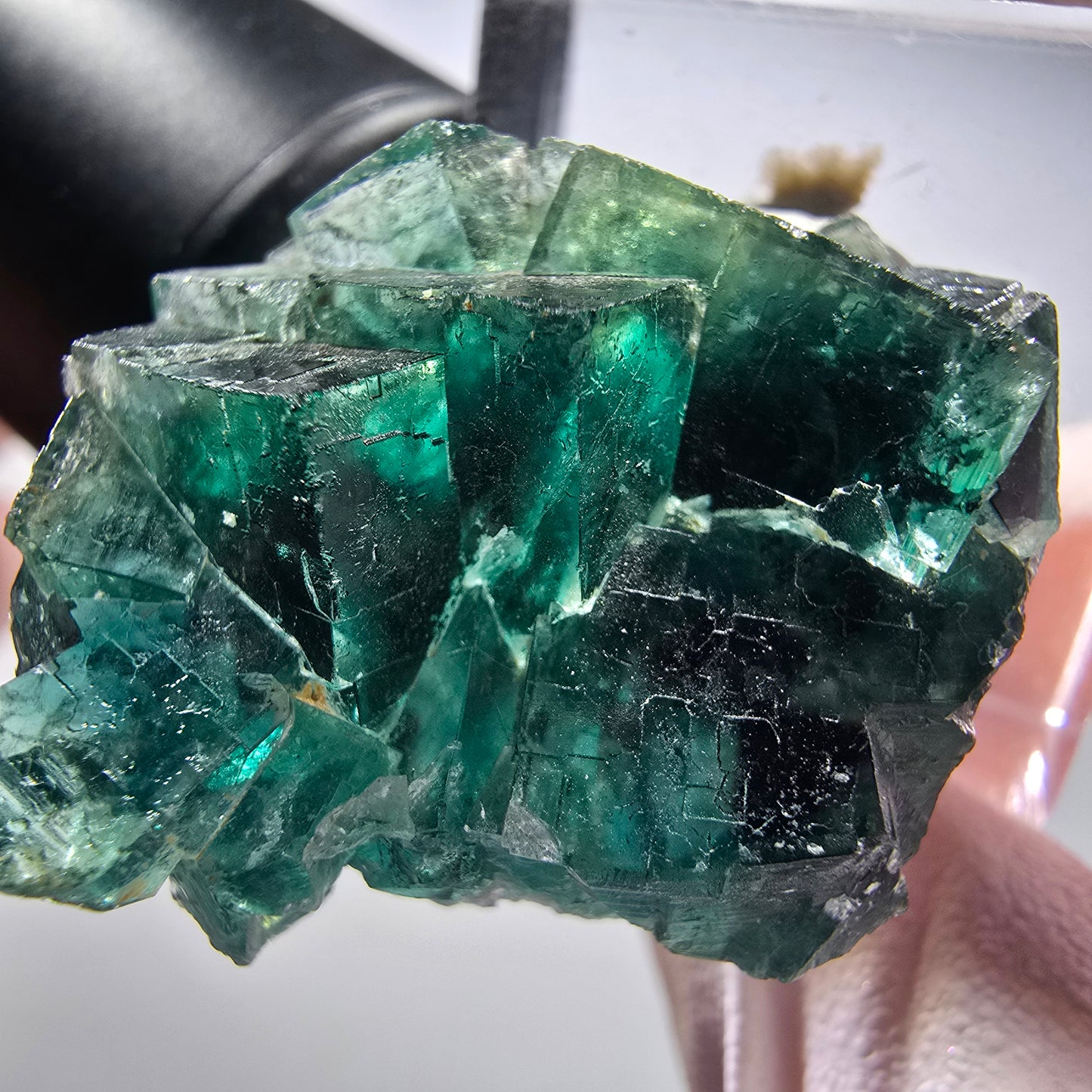 Seltene Phantom Fluorit Würfel Stufe, grün Okorusu, Namibia 31*24*17mm #13446