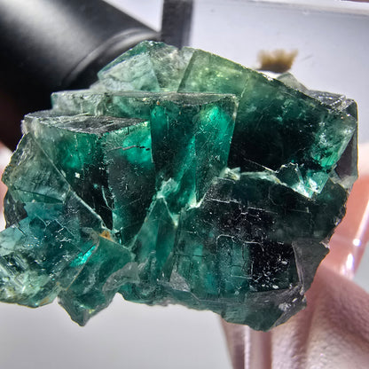 Seltene Phantom Fluorit Würfel Stufe, grün Okorusu, Namibia 31*24*17mm #13446