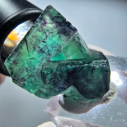 Seltene Phantom Fluorit Würfel Stufe, grün lila Okorusu, Namibia 26*20*19mm #13448