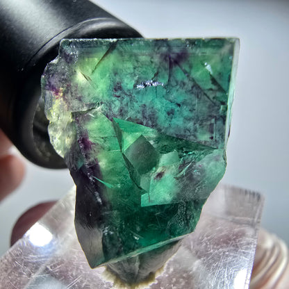 Seltene Phantom Fluorit Würfel Stufe, grün lila Okorusu, Namibia 26*20*19mm #13448