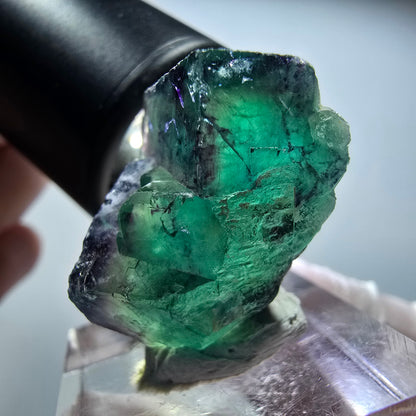 Seltene Phantom Fluorit Würfel Stufe, grün lila Okorusu, Namibia 26*20*19mm #13448