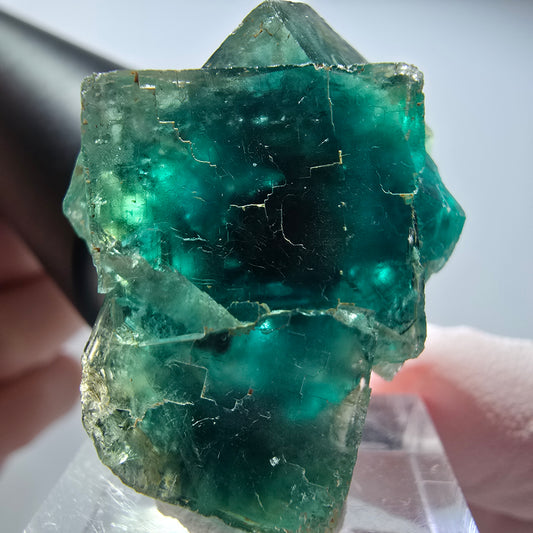 Seltene Phantom Fluorit Würfel Stufe, grün Okorusu, Namibia 35*26*22mm #13449
