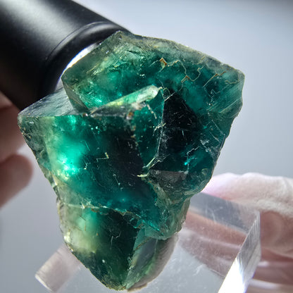 Spécimen de Fluorite cubique fantôme rare, vert Okorusu, Namibie 35*26*22mm #13449