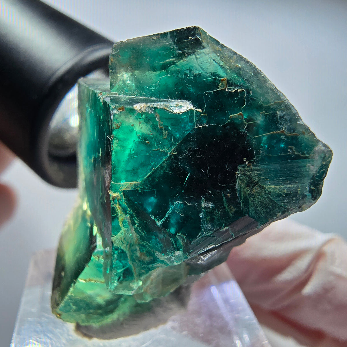 Spécimen de Fluorite cubique fantôme rare, vert Okorusu, Namibie 35*26*22mm #13449