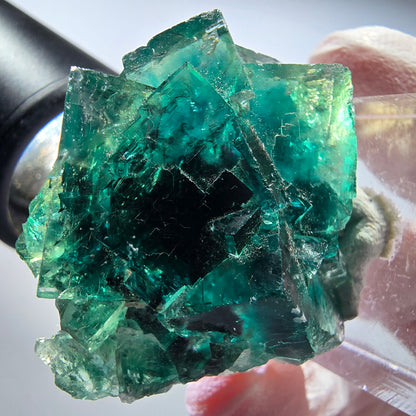Seltene Phantom Fluorit Würfel Stufe, grün Okorusu, Namibia 37*32*18mm #13450
