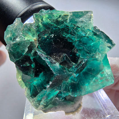 Seltene Phantom Fluorit Würfel Stufe, grün Okorusu, Namibia 37*32*18mm #13450