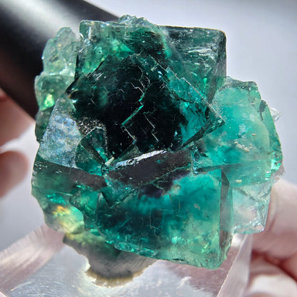 Seltene Phantom Fluorit Würfel Stufe, grün Okorusu, Namibia 37*32*18mm #13450
