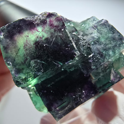Seltene Phantom Fluorit Würfel Stufe, grün lila Okorusu, Namibia 48*40*23mm #13451