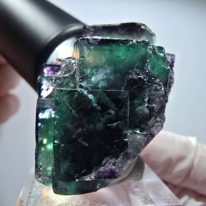 Seltene Phantom Fluorit Würfel Stufe, grün lila Okorusu, Namibia 48*40*23mm #13451