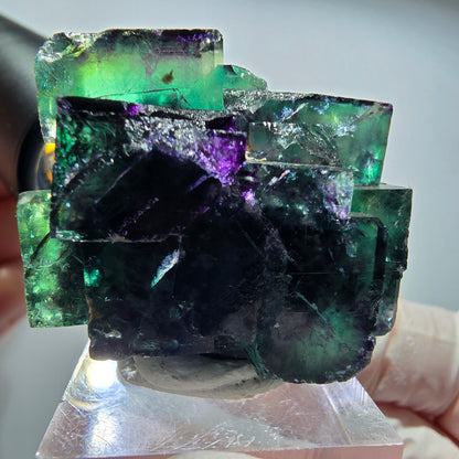 Seltene Phantom Fluorit Würfel Stufe, grün lila Okorusu, Namibia 48*40*23mm #13451