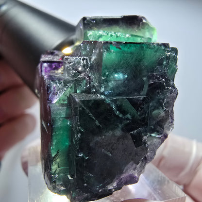 Seltene Phantom Fluorit Würfel Stufe, grün lila Okorusu, Namibia 48*40*23mm #13451