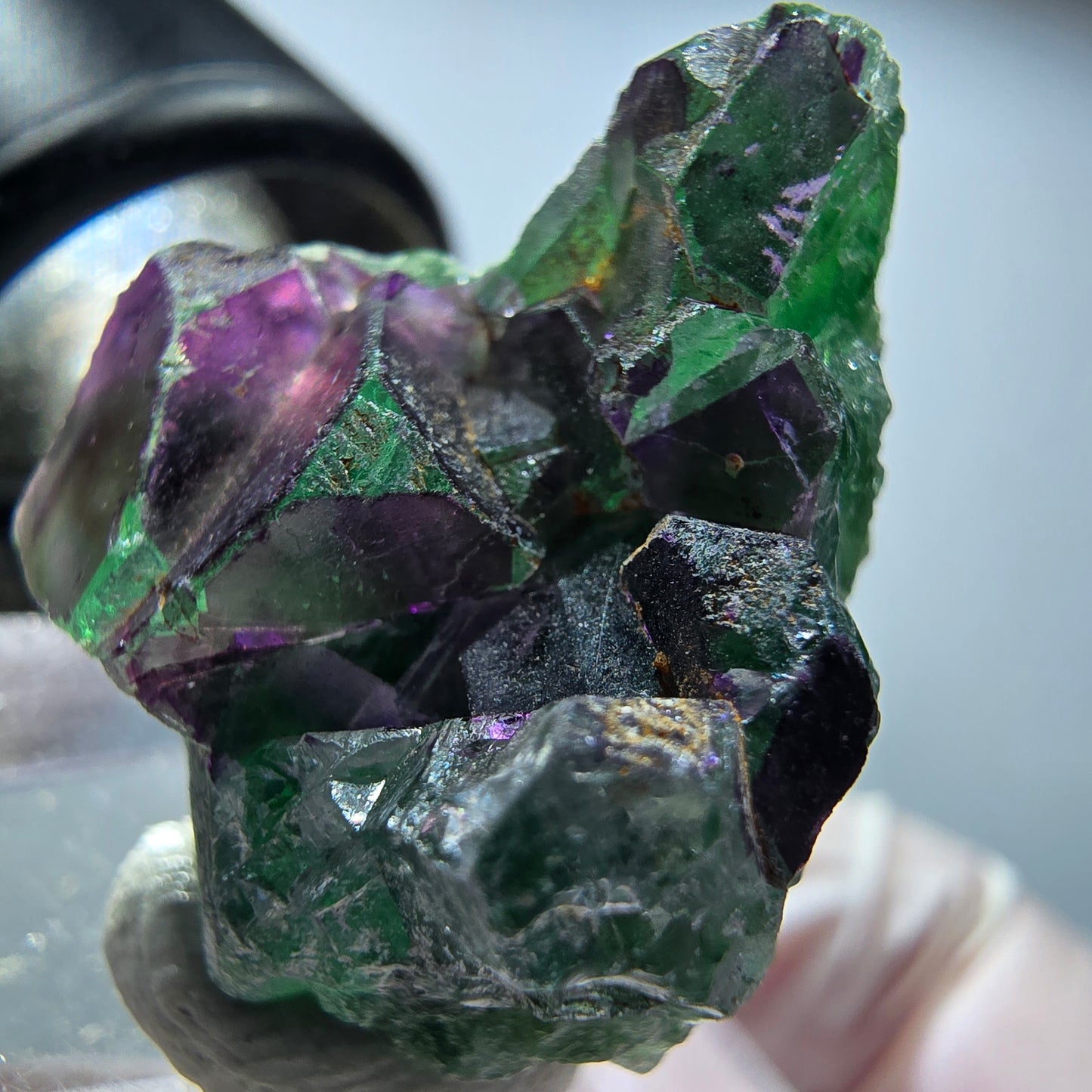 Seltene Phantom Fluorit Würfel Stufe, grün lila Okorusu, Namibia 27*22*15mm #13452