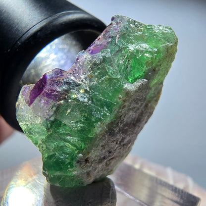 Seltene Phantom Fluorit Würfel Stufe, grün lila Okorusu, Namibia 27*22*15mm #13452