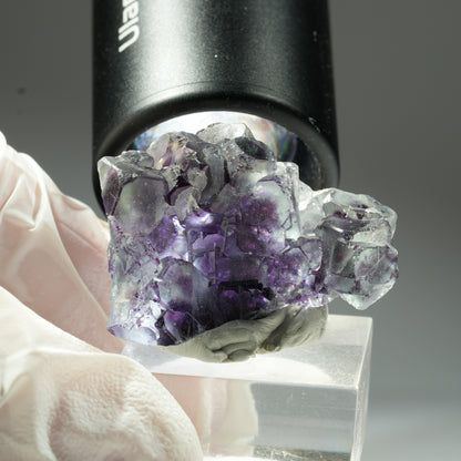 Seltene Phantom Fluorit Würfel Stufe, grün lila Okorusu, Namibia 37*26*22mm #13454