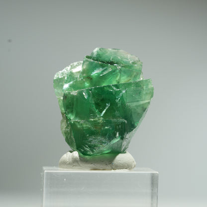 Seltene Phantom Fluorit Würfel Stufe, grün Okorusu, Namibia 35*27*21mm #13457