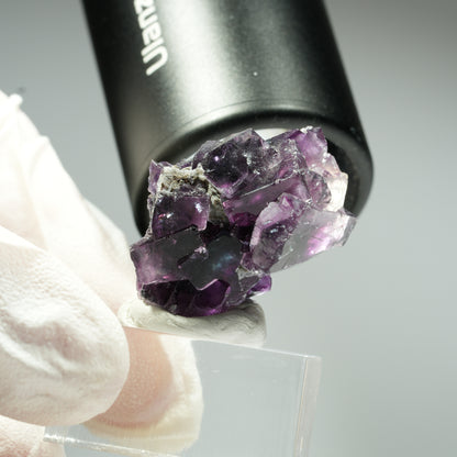 Rare Fluorite fantôme cubique, bleu violet Okorusu, Namibie 30*21*13mm #13459