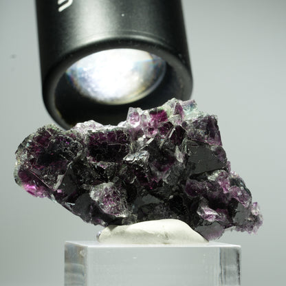 Seltene Phantom Fluorit Würfel Stufe, grün lila Okorusu, Namibia 51*28*18mm #13460